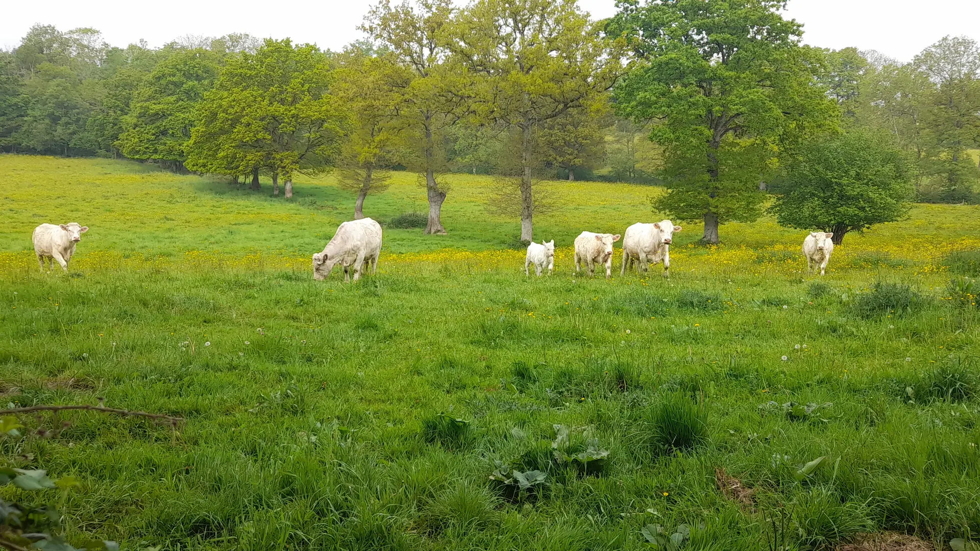 Jolie vue à Les Chapelles