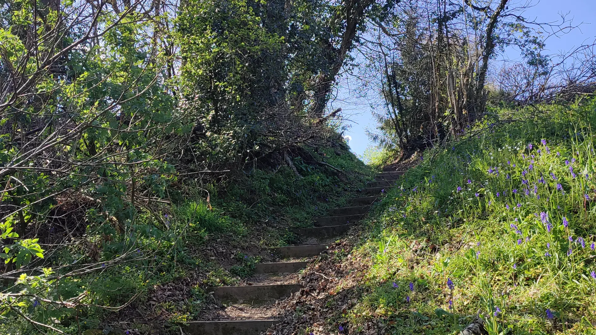 2023 - La Forteresse du Rubricaire à Ste-Gemmes-le-Robert ©Office de tourisme de Sainte-Suzanne les Coëvrons (8)