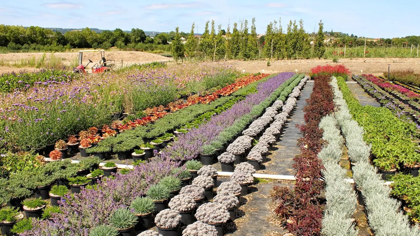 Production conteneur