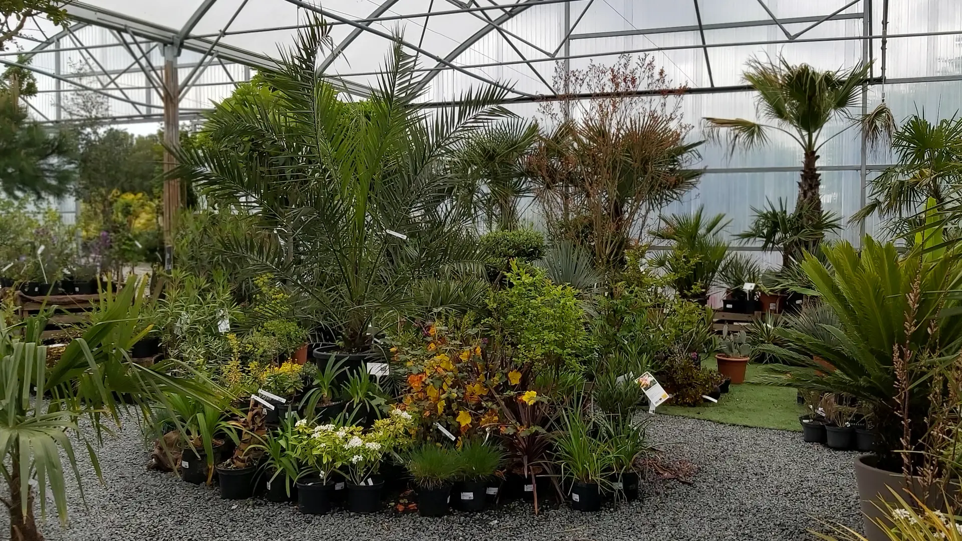 Expo-Vente particulier