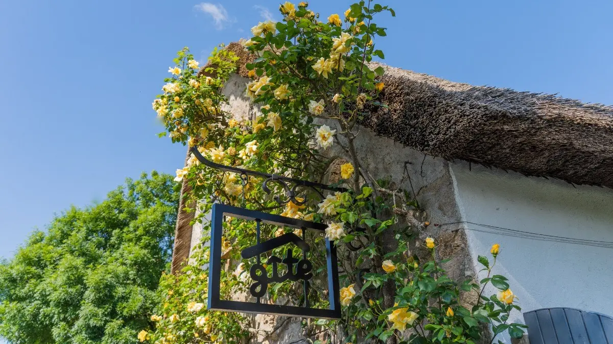 81782 - Pignon  et Entrée indépendante de la Chaumière Anouck
