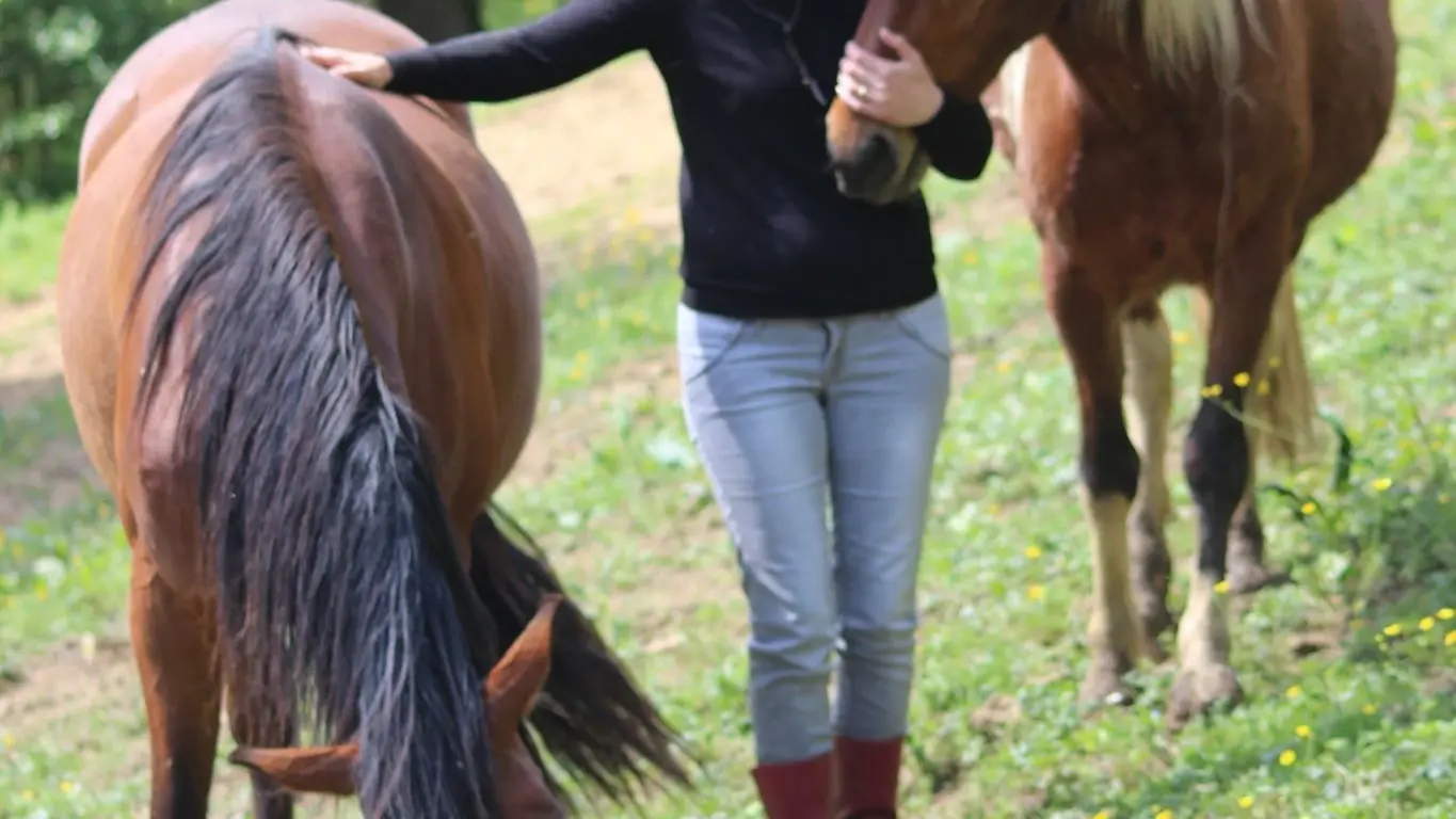 306085473_734978974541636_4384616627515687587_n