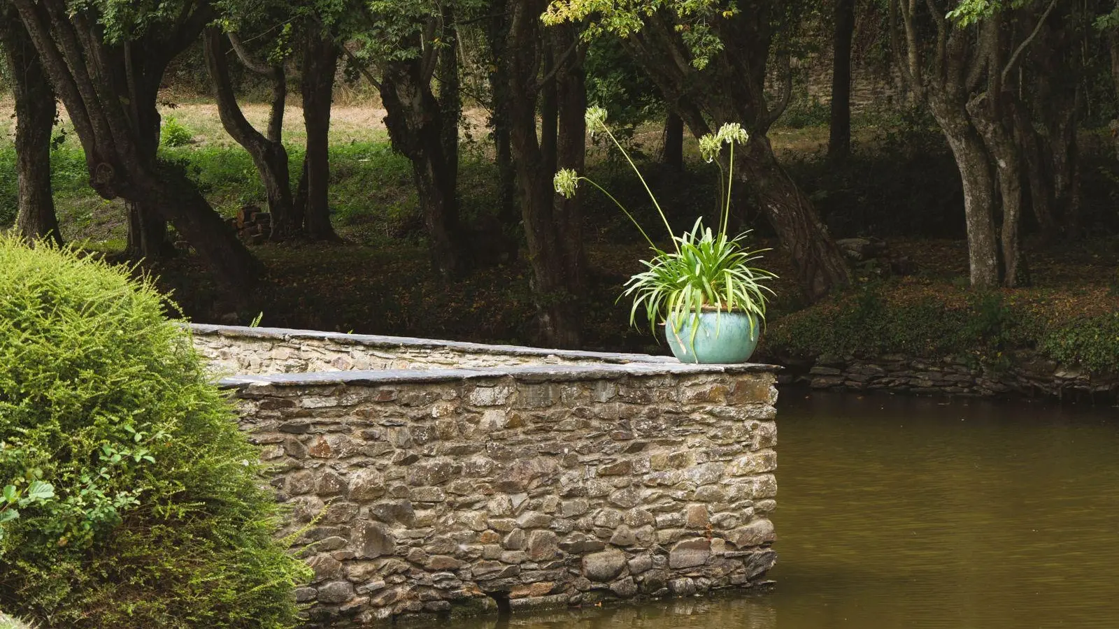 36be3c5b-da73-41f9-aff7-21d3332b5fed