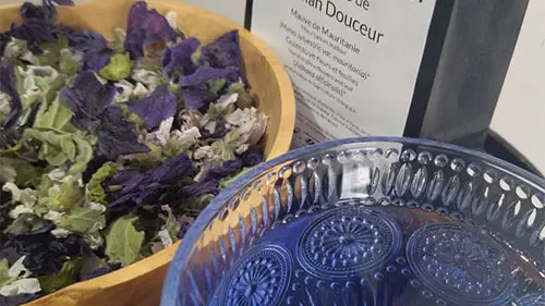 tisane-maman-douceur Herborigène