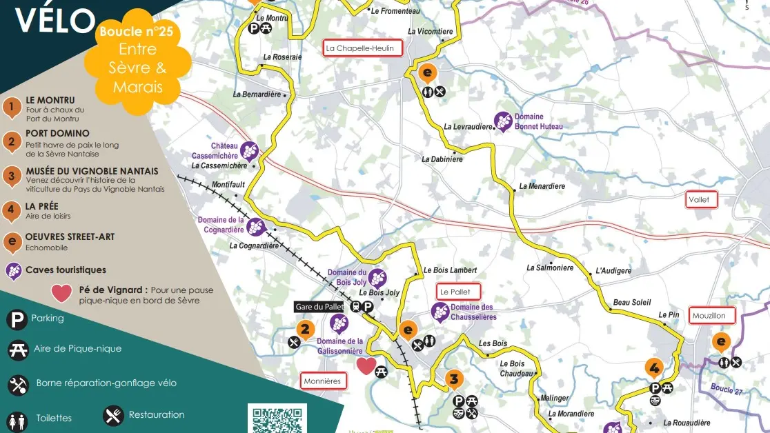 vignoble-a-velo-entre-sevre-marais-levignobledenantes-tourisme