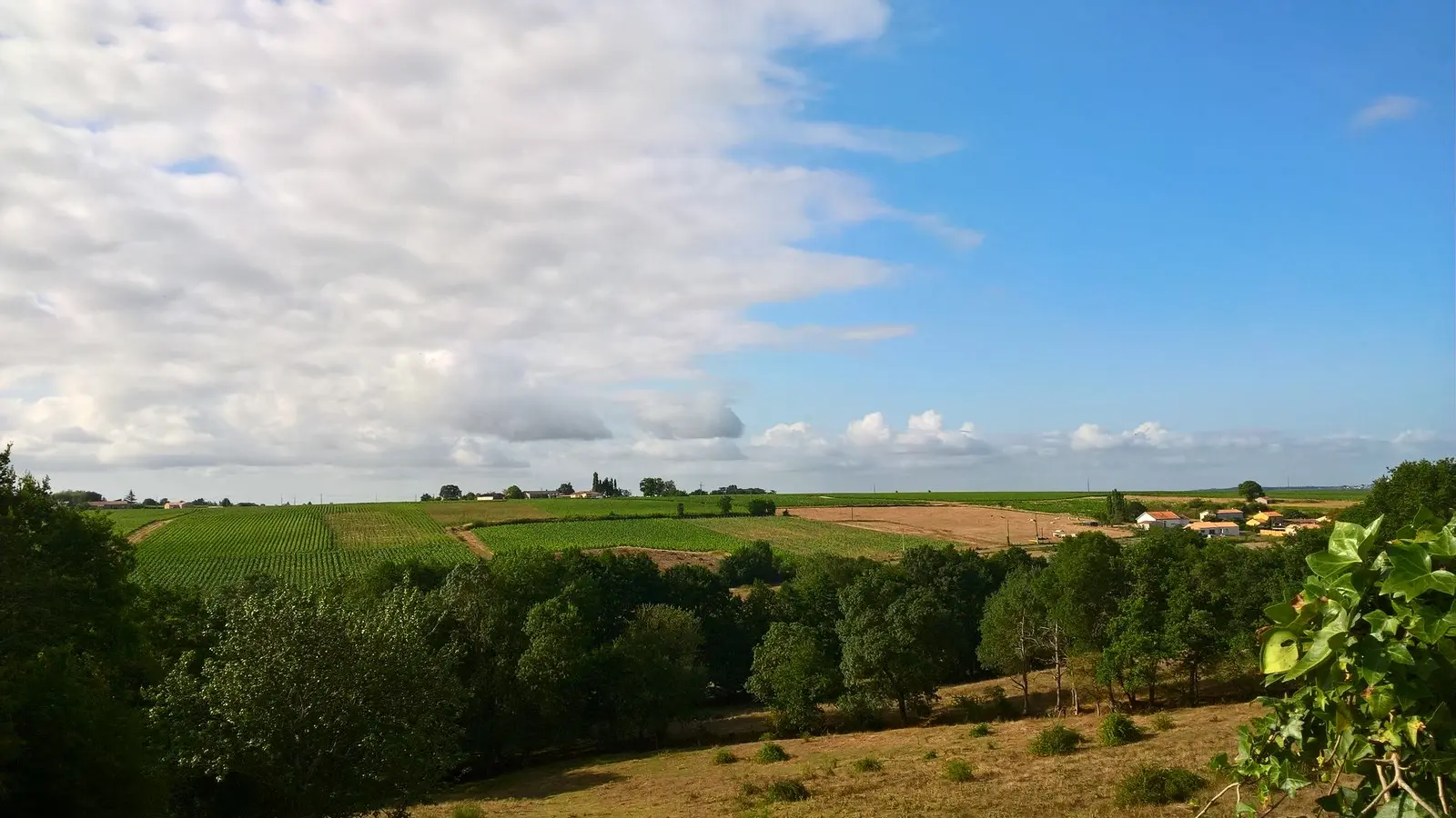 vue--circuitdeshorizons-lelorouxbottereau-44-levignobledenantes