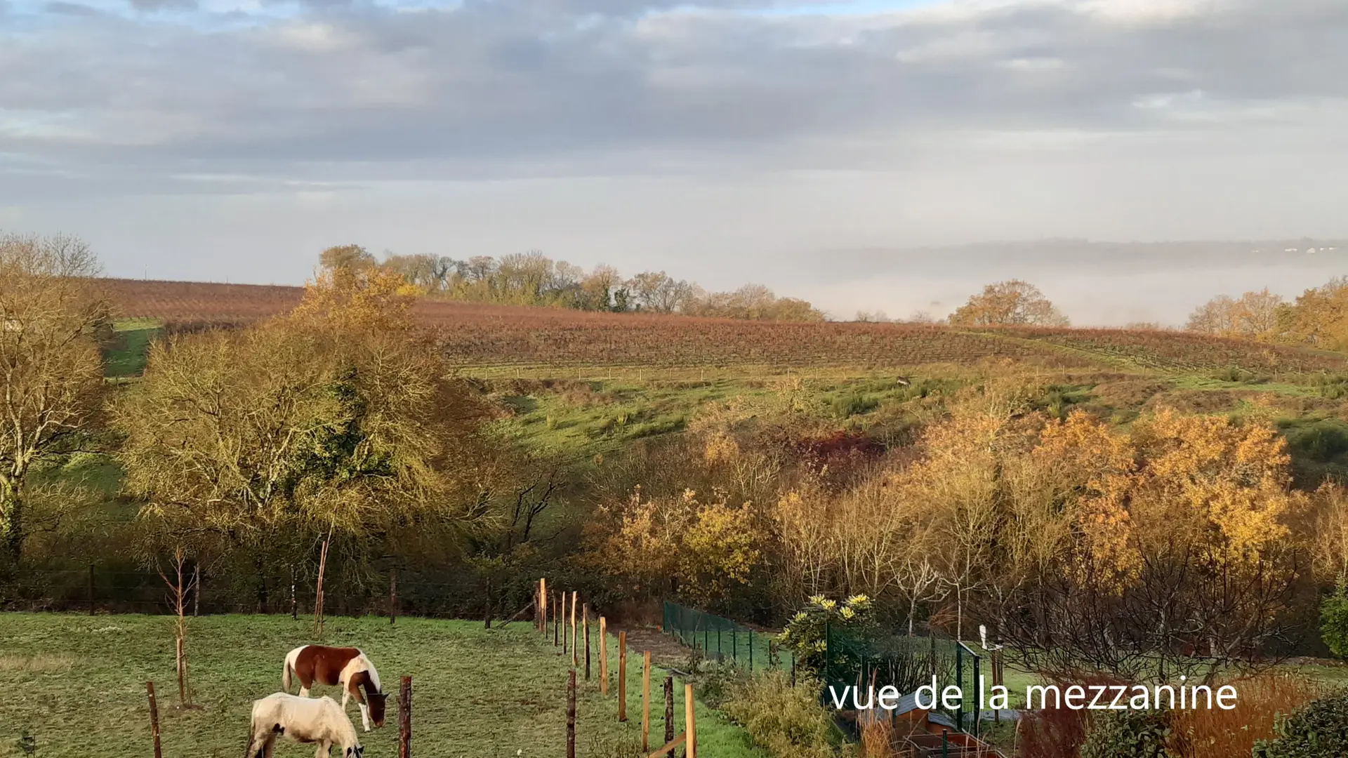 vue de la mezzanine-1