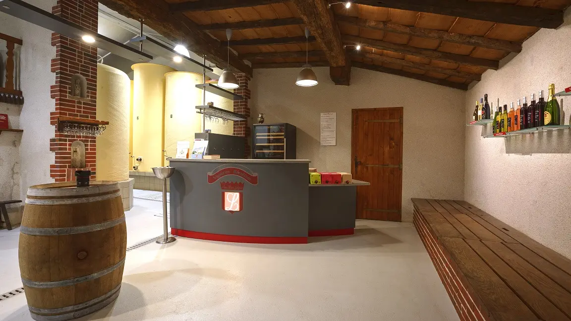 2018-chateau-aujardiere2-remaudiere-44-levignobledenantes-tourisme