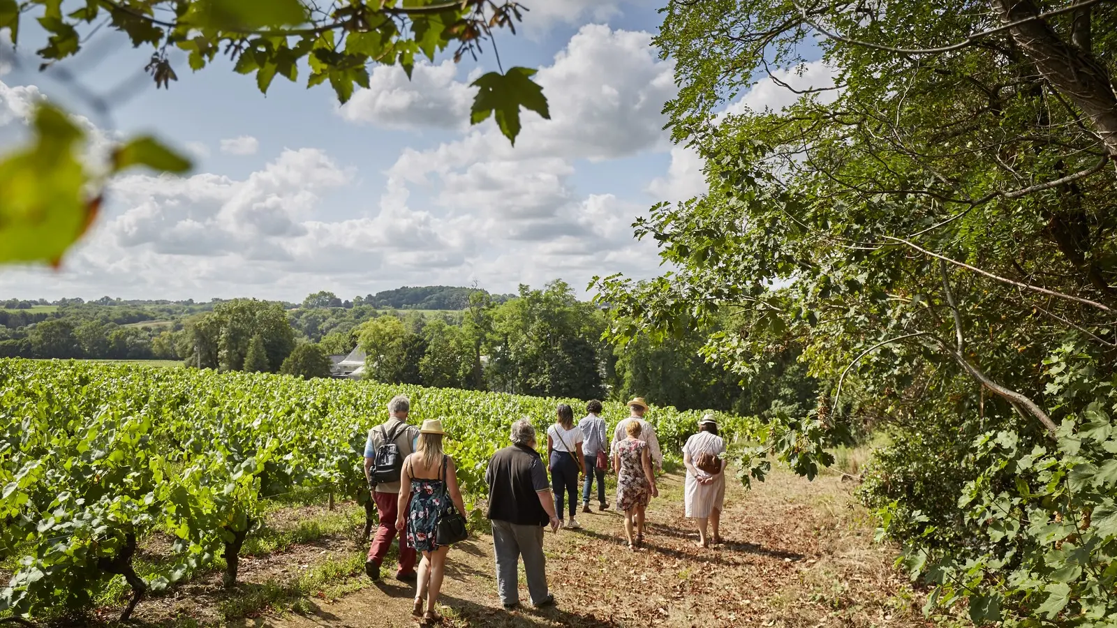 Escapade en muscadet