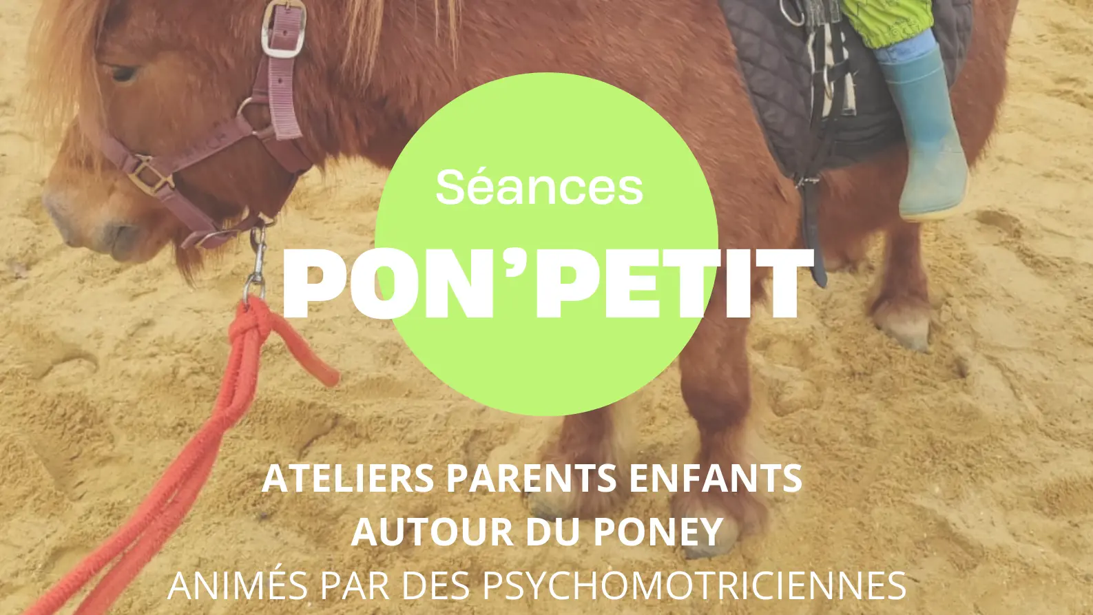 Affiche Pon'Petit - 1