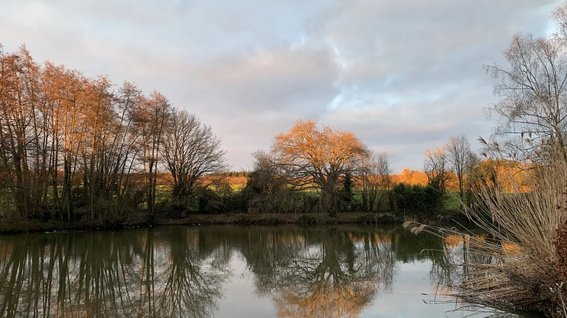 Chambres d'hôtes La Basse Cour - Ancinnes - lac à l'automne