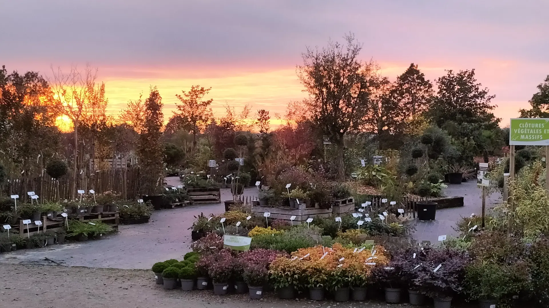 Zone Expo-vente - Couché de Soleil