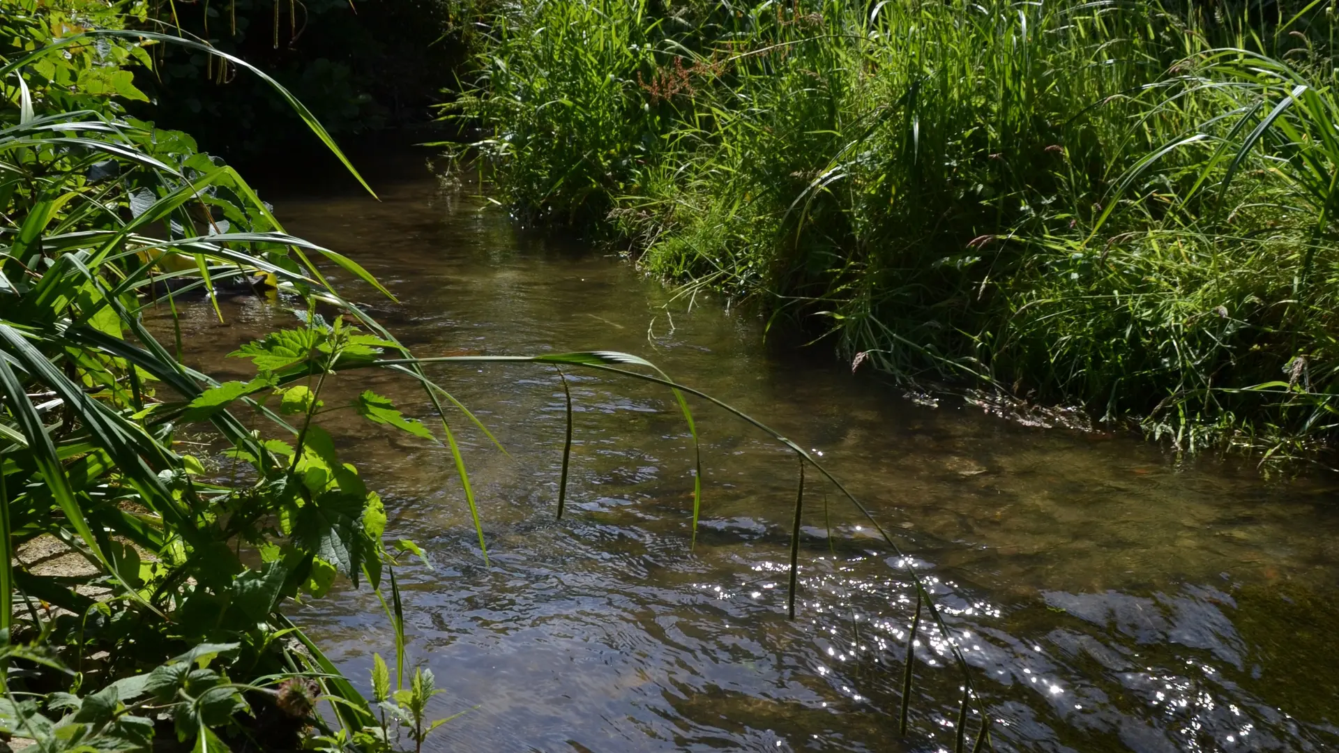 Bais-Lavoir