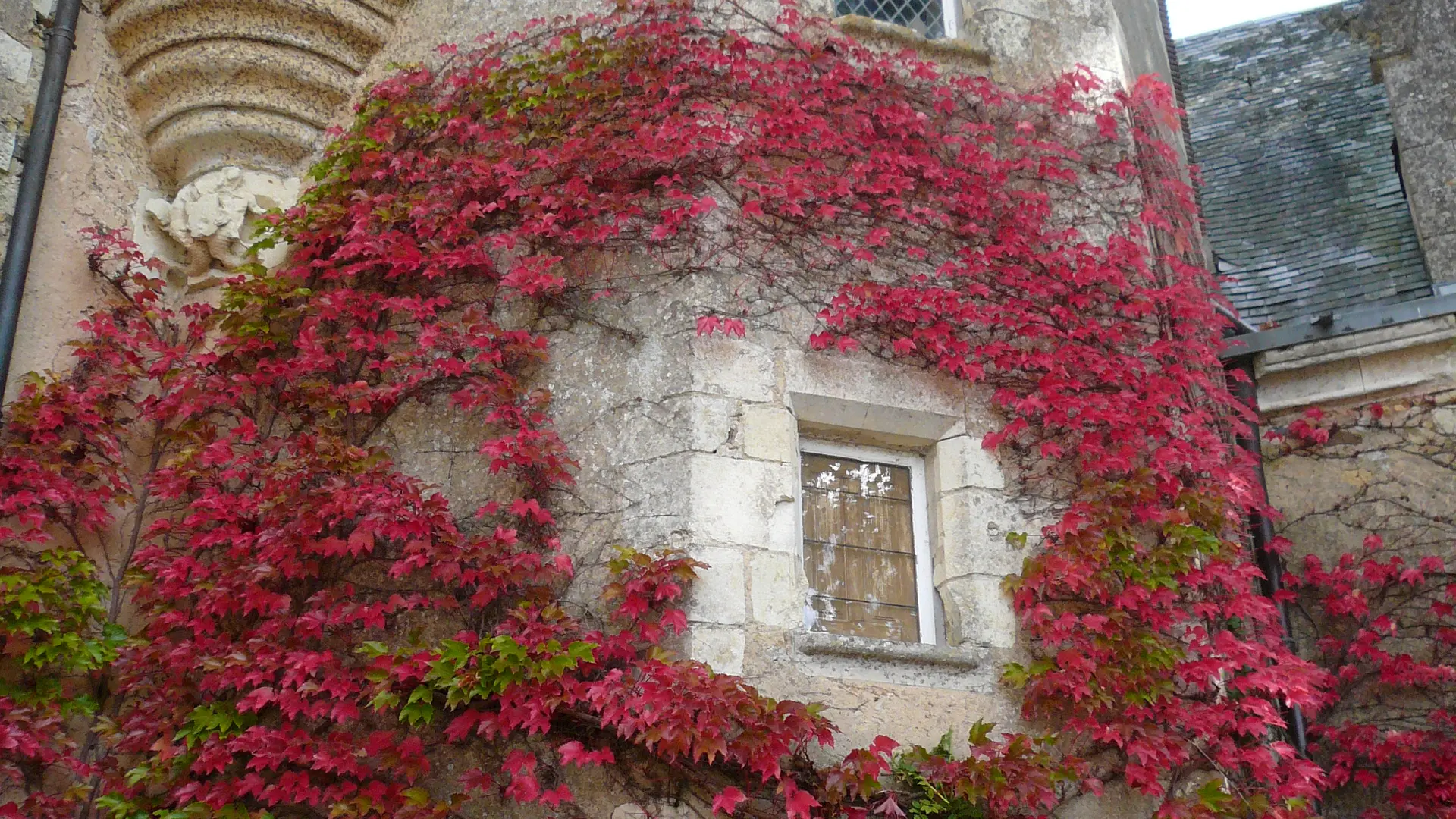 Randonnée pédstre- Bazouges sur le Loir