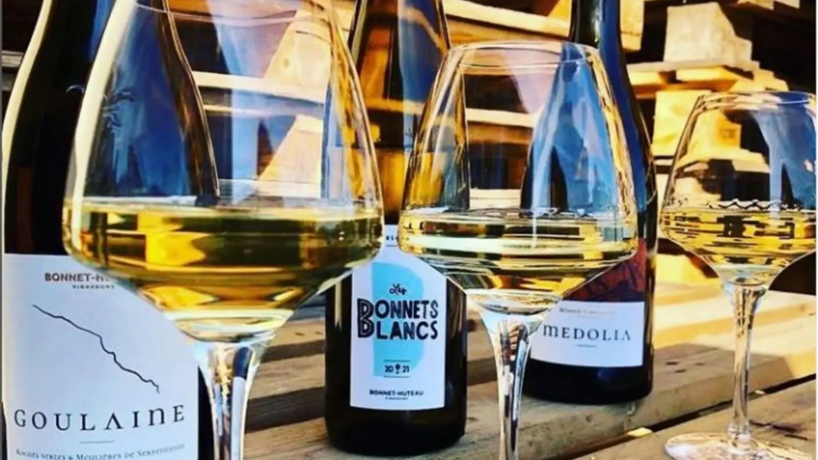 Bonnet-Huteau-paysage 2_