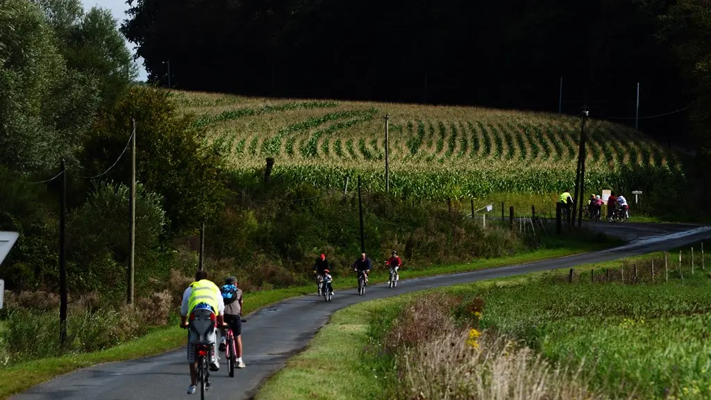 Boucle-vignoble-a-velo-bretagne-anjou-la-boissietr-du-dore-44-ITI (3)