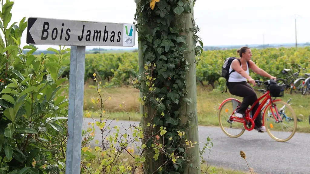 Boucle-vignoble-a-velo-logne-sanguèze-vallet-44-ITI (3)