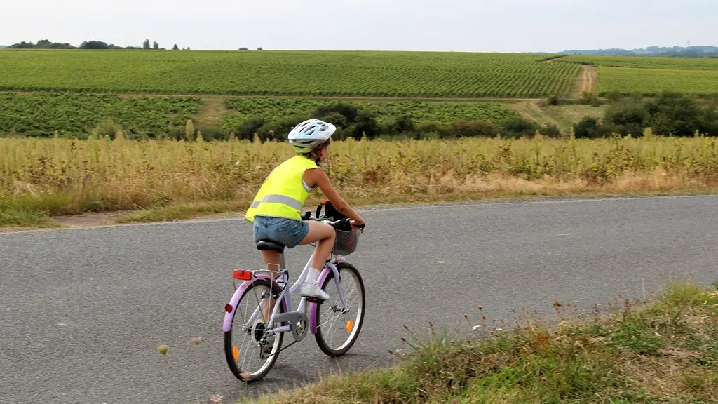 Boucle-vignoble-a-velo-logne-sanguèze-vallet-44-ITI (4)