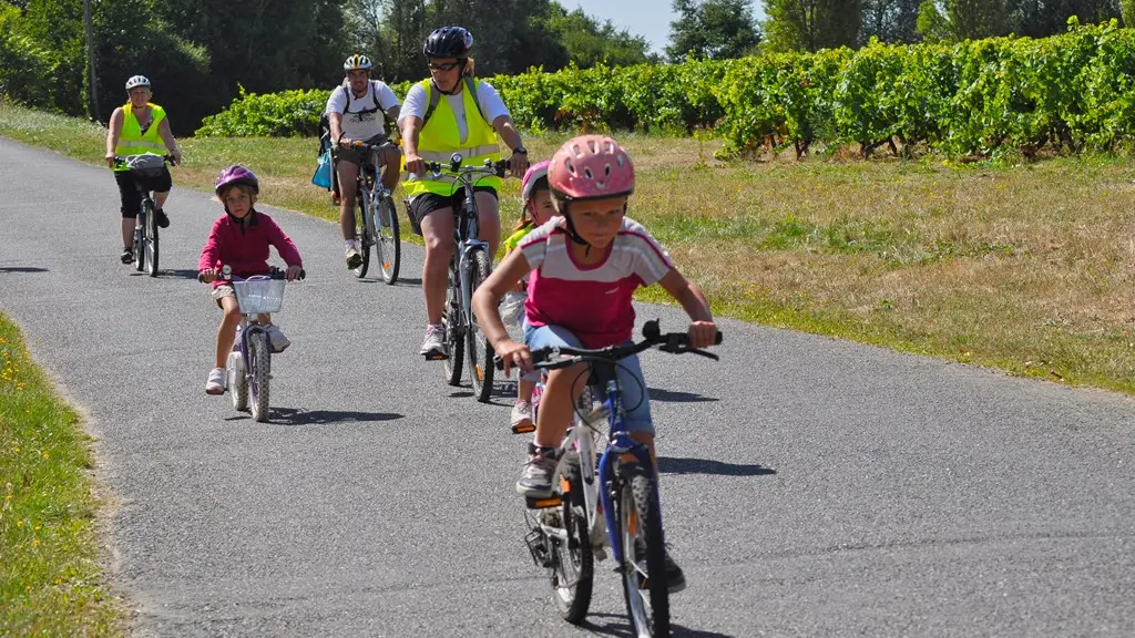 Boucle-vignoble-a-velo-sevre-marais-le pallet-44-ITI  (3)