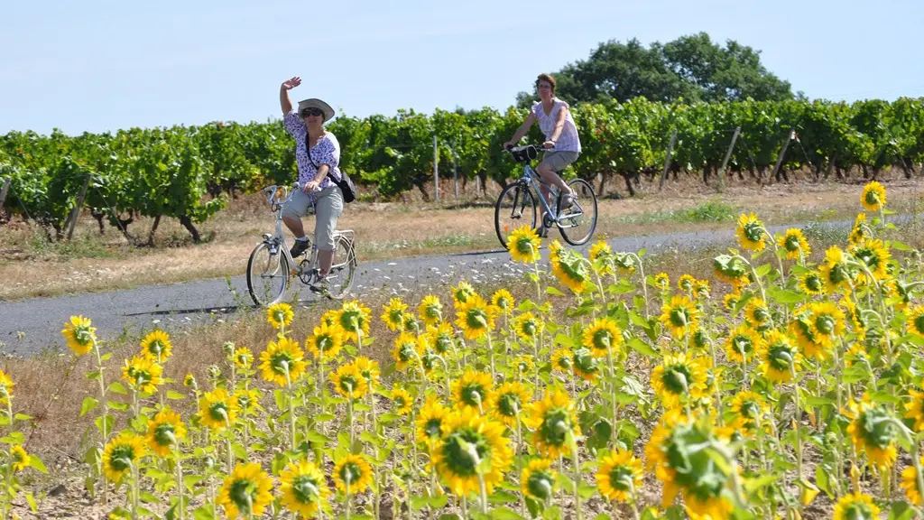 Boucle-vignoble-a-velo-sevre-marais-le pallet-44-ITI  (4)