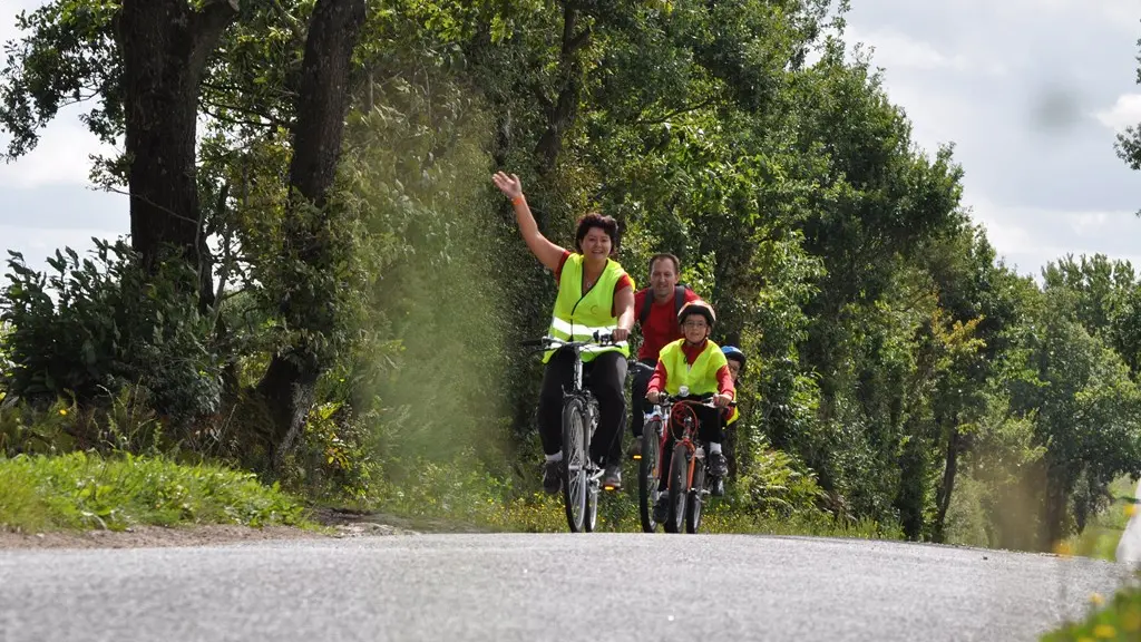 Boucle-vignoble-a-velo-vigne-bocage-la-regrippiere-44-ITI (2)