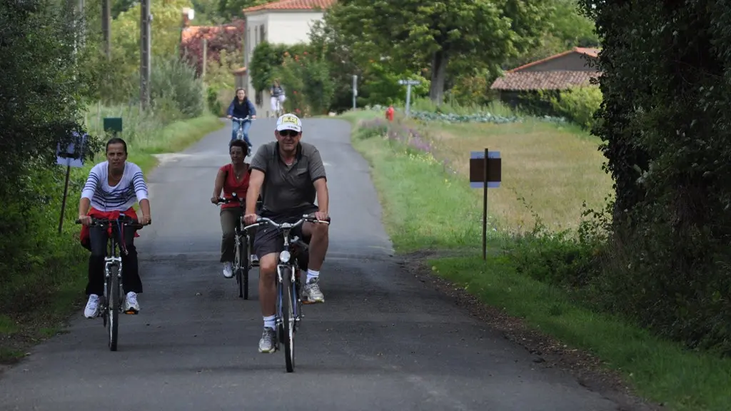 Boucle-vignoble-a-velo-vigne-bocage-la-regrippiere-44-ITI (3)