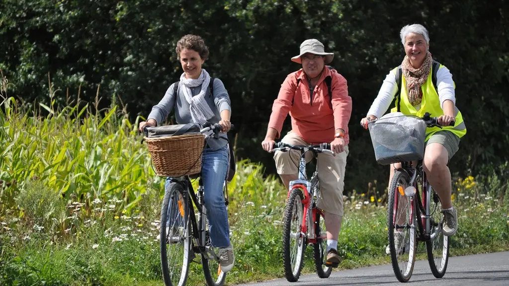 Boucle-vignoble-a-velo-vigne-bocage-la-regrippiere-44-ITI (5)