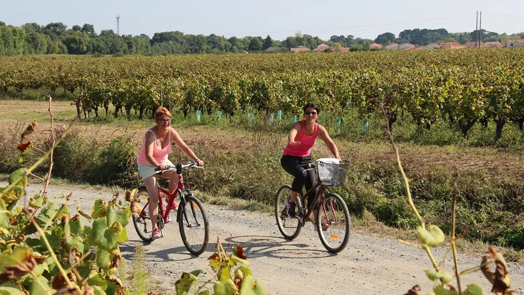 Boucle-vignoble-a-velo-ville-terroirs-mouzillon-44-ITI  (4)