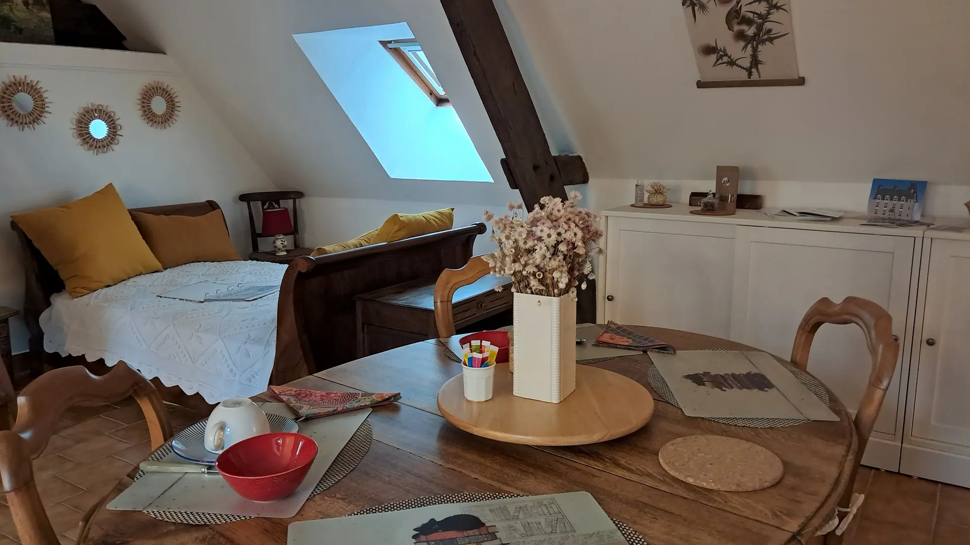 Chat-hirsute-2025-3e-lit