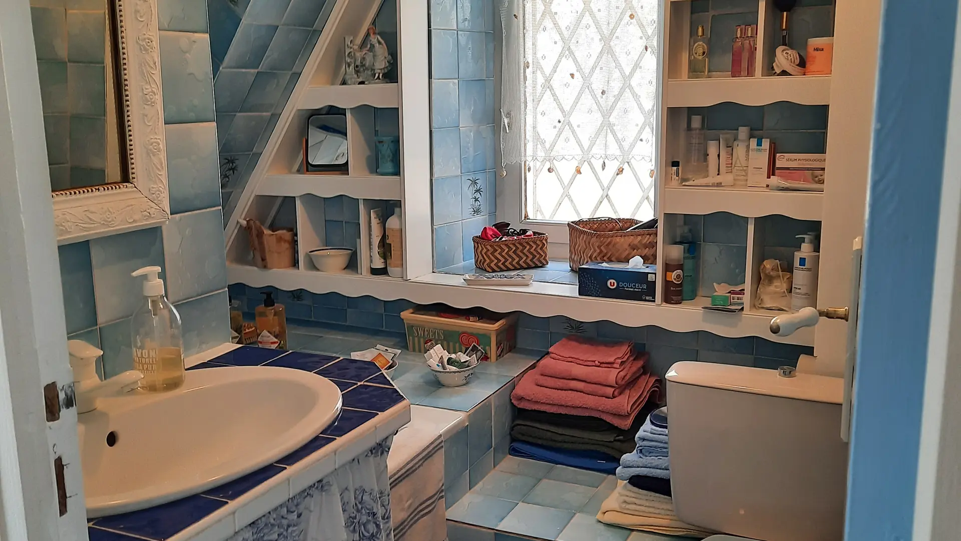 Chat-hirsute-2025-Salle-de-bain-1