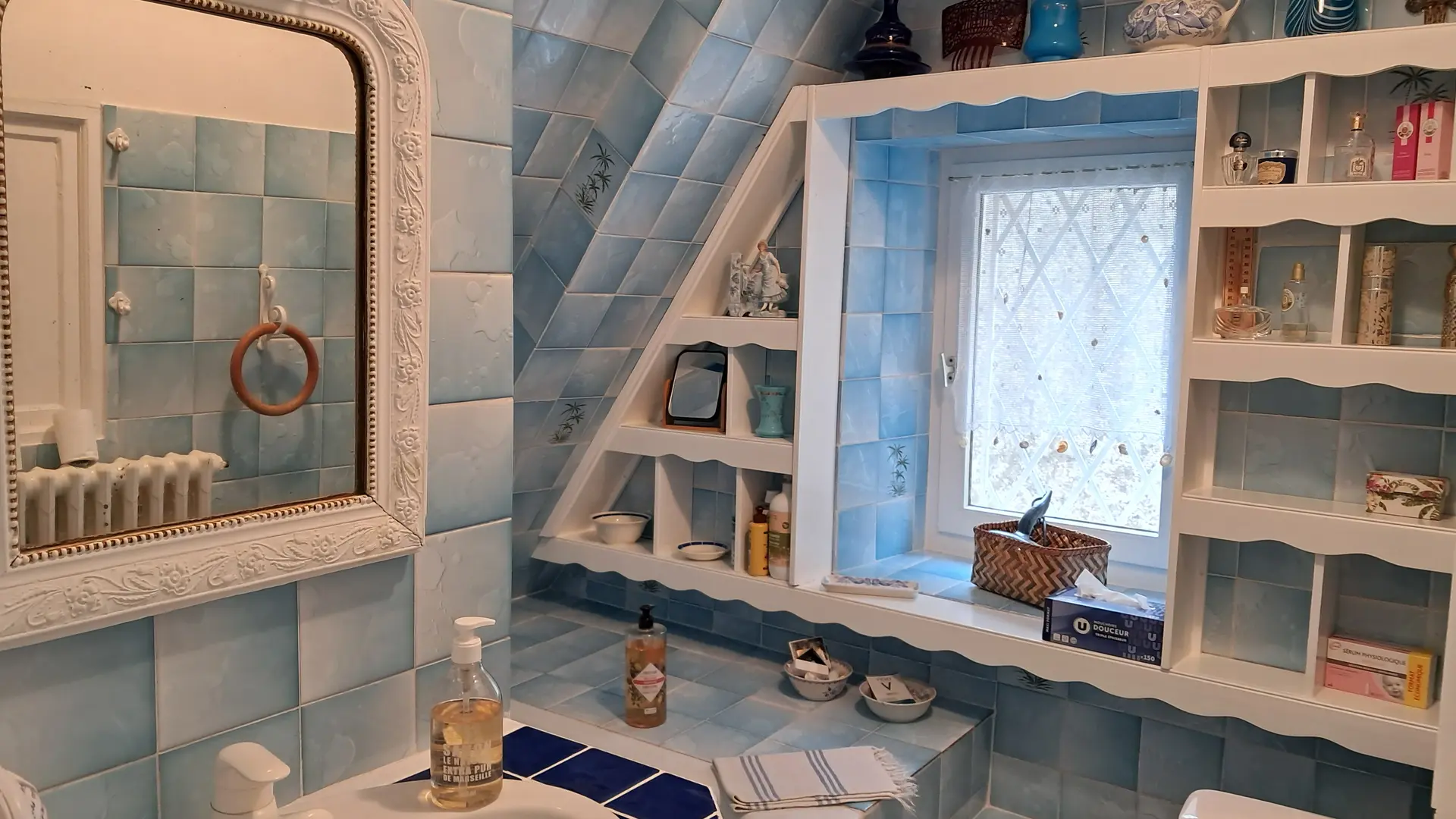 Chat-hirsute-2025-Salle-de-bain-2