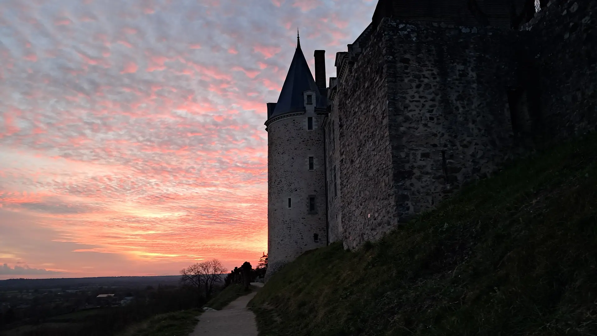 Chat-hirsute-2025-Ste-Suz-2