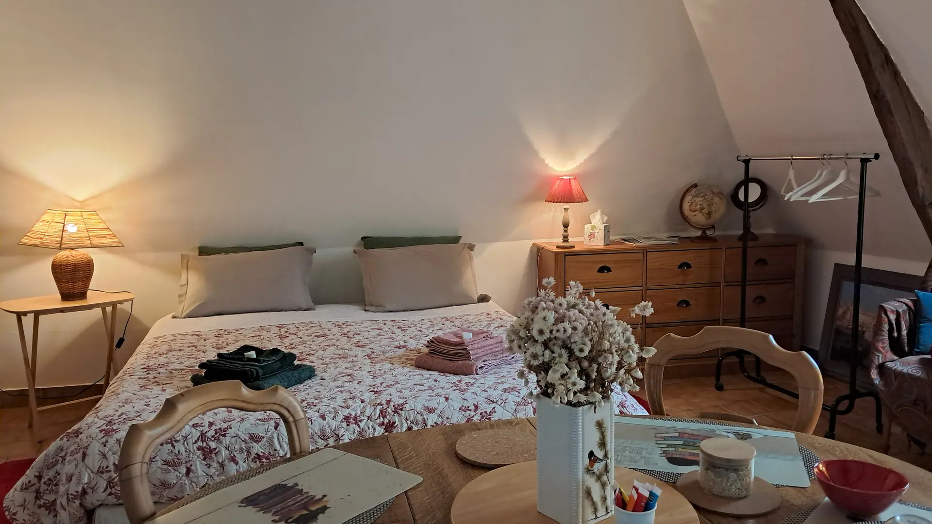 Chat-hirsute-2025-chambr-config-lit-double-1