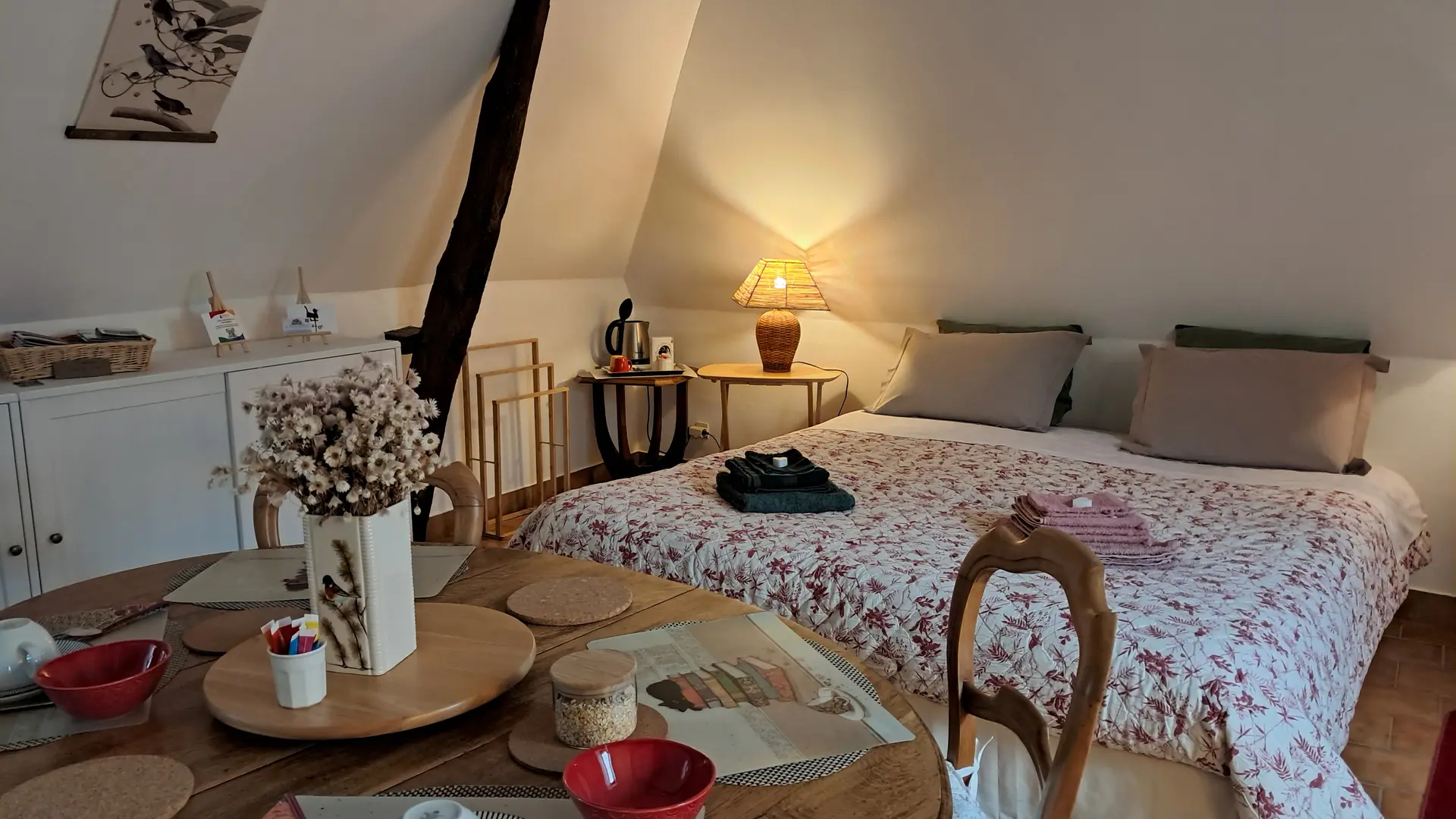 Chat-hirsute-2025-chambr-config-lit-double-2