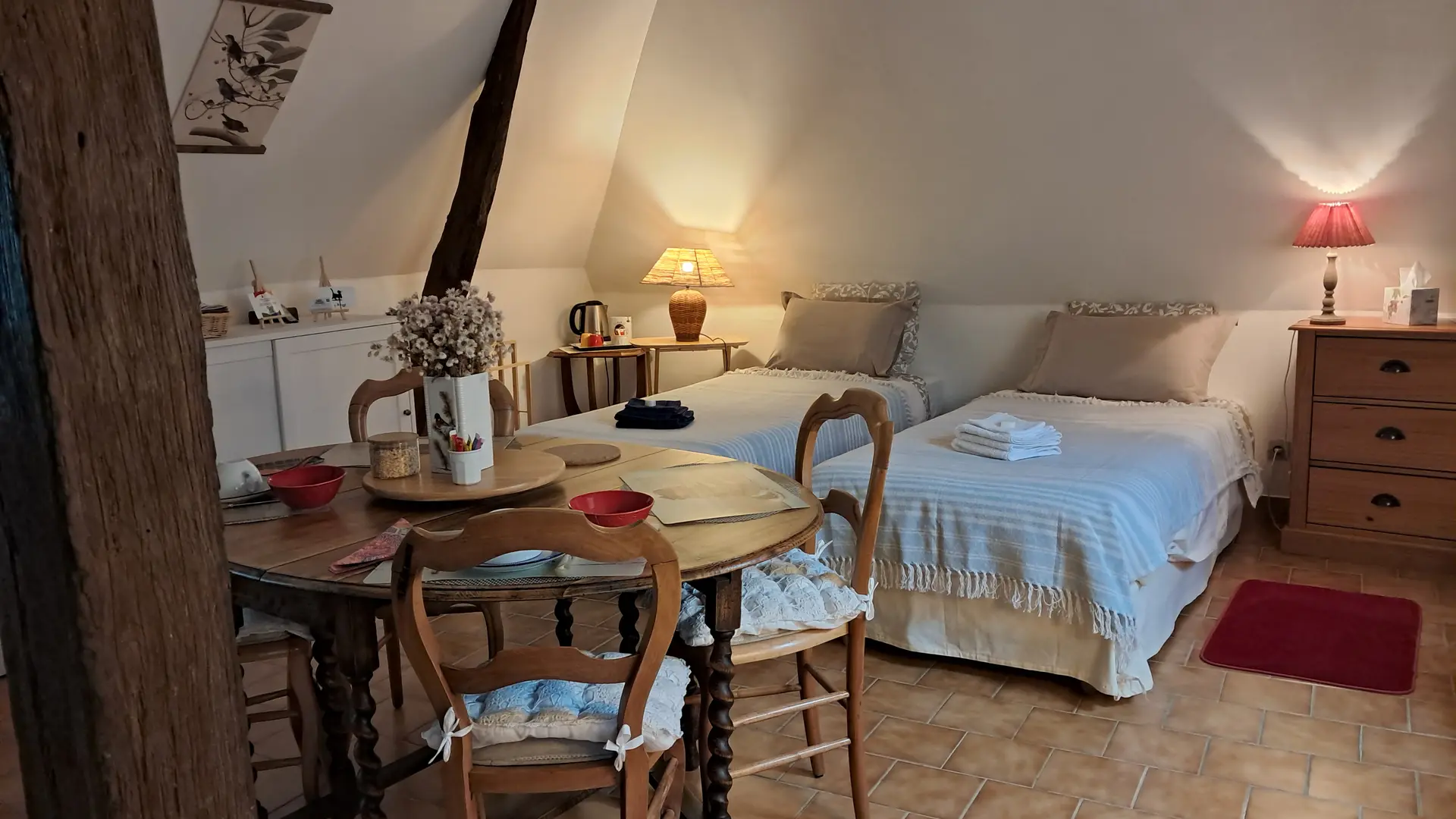 Chat-hirsute-2025-config-lits-jumeaux-1