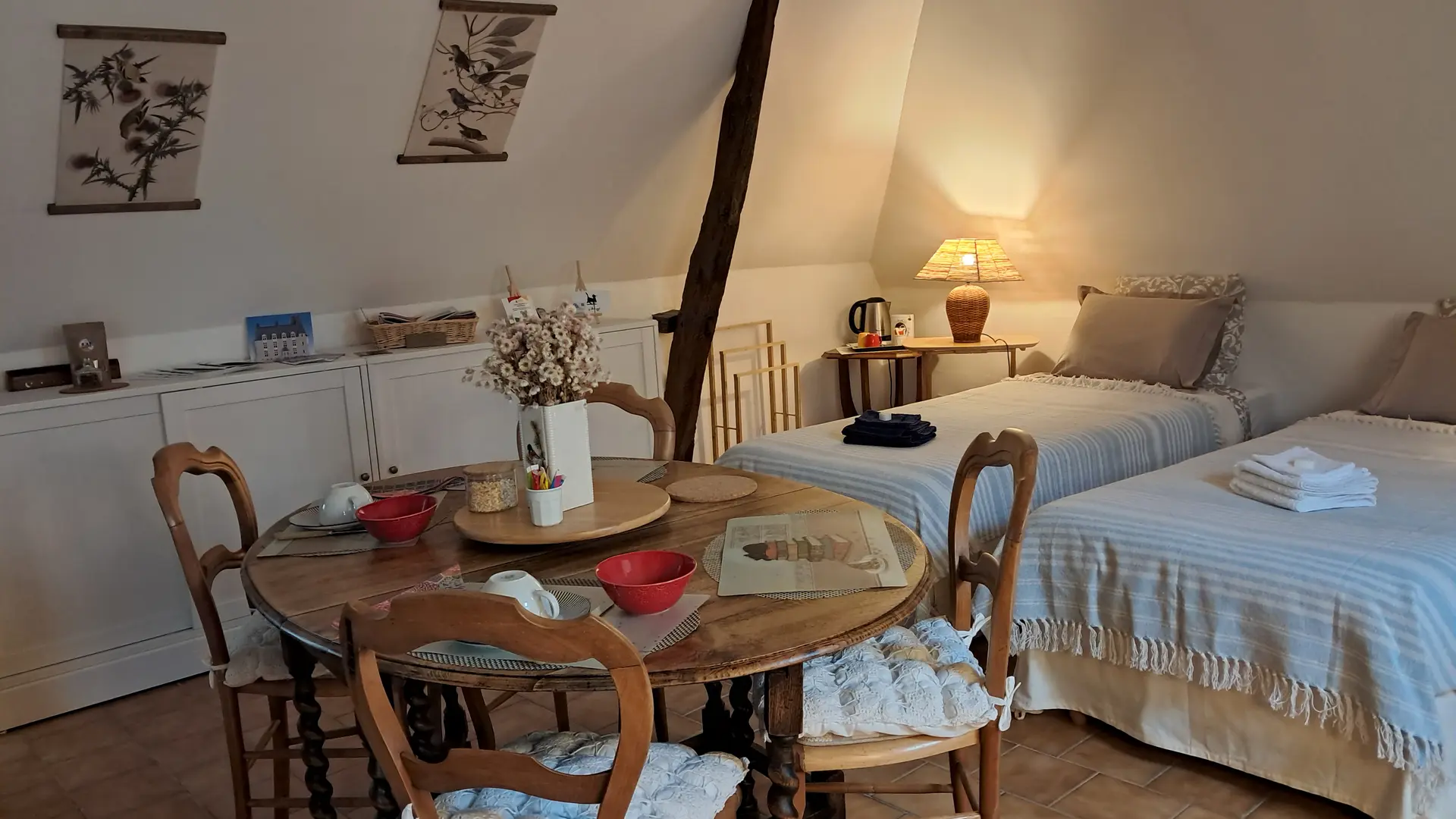 Chat-hirsute-2025-config-lits-jumeaux-3