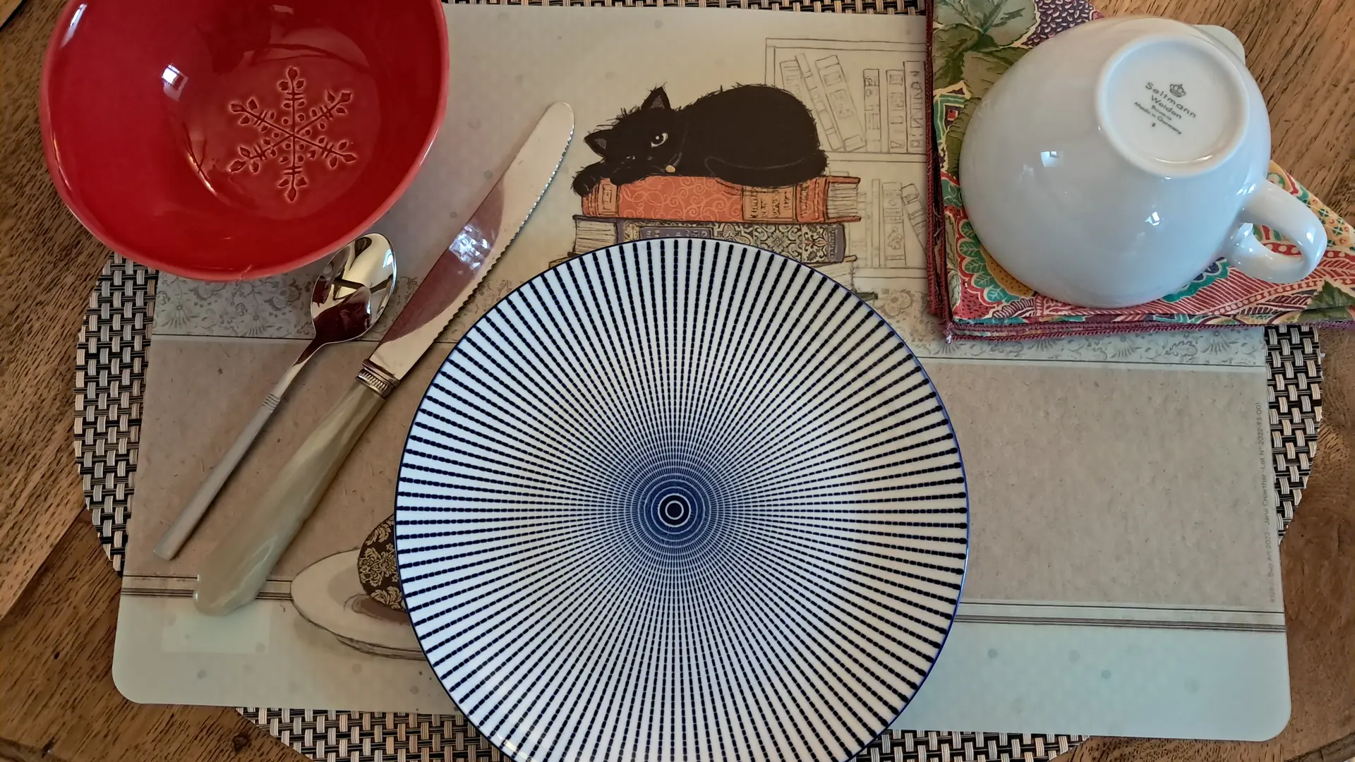 Chat-hirsute-2025-clin-d'-oeil