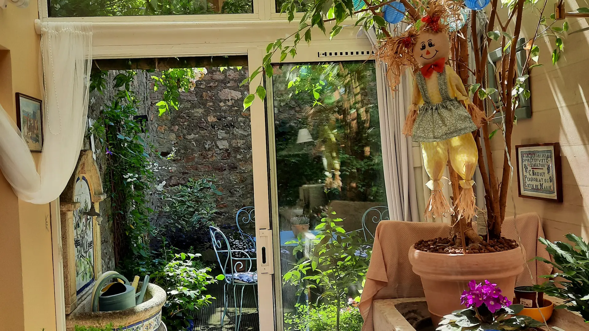 Chat-hirsute-2025-jardinet-1