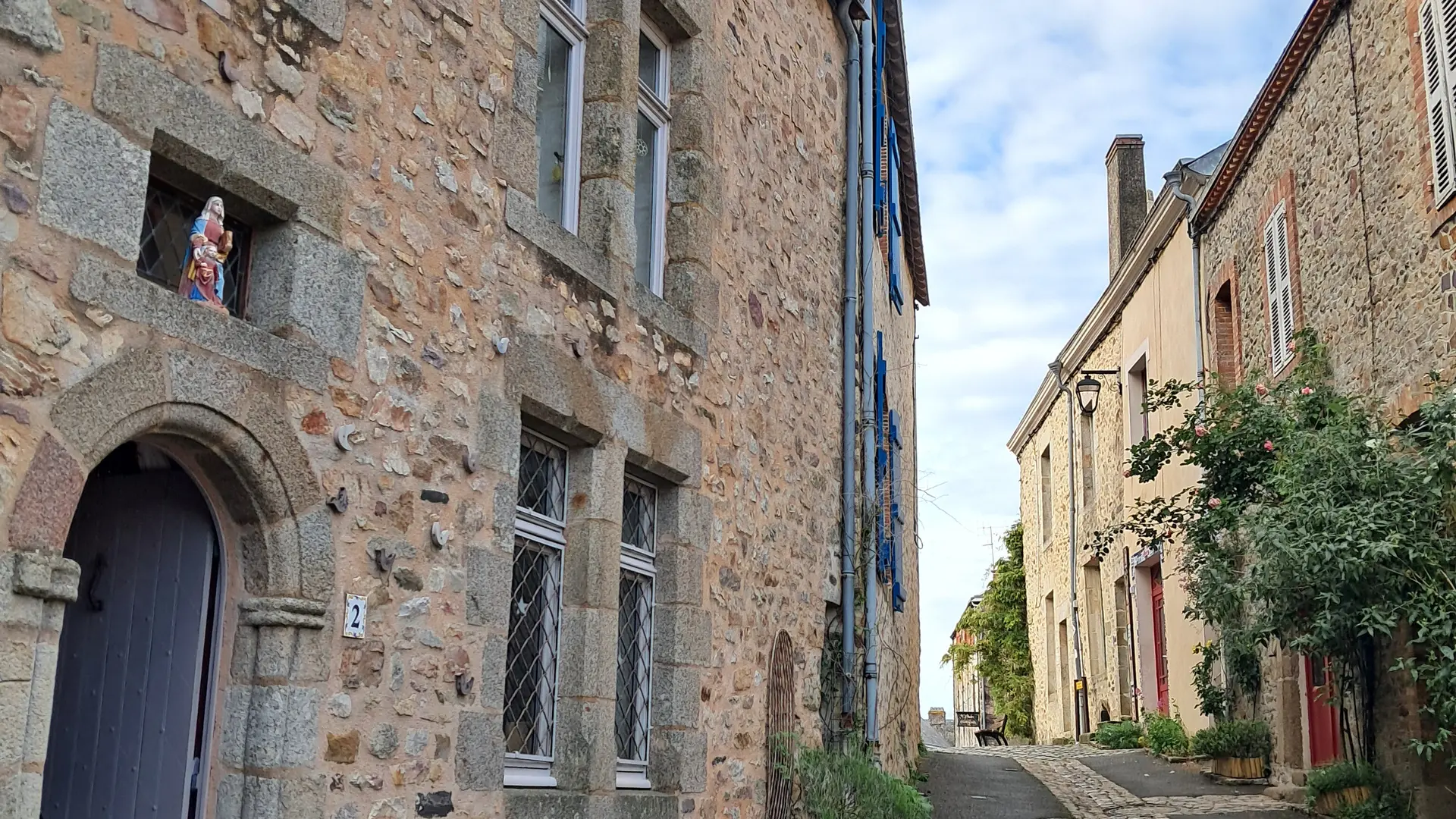 Chat-hirsute-2025-rue-Belle-Etoile