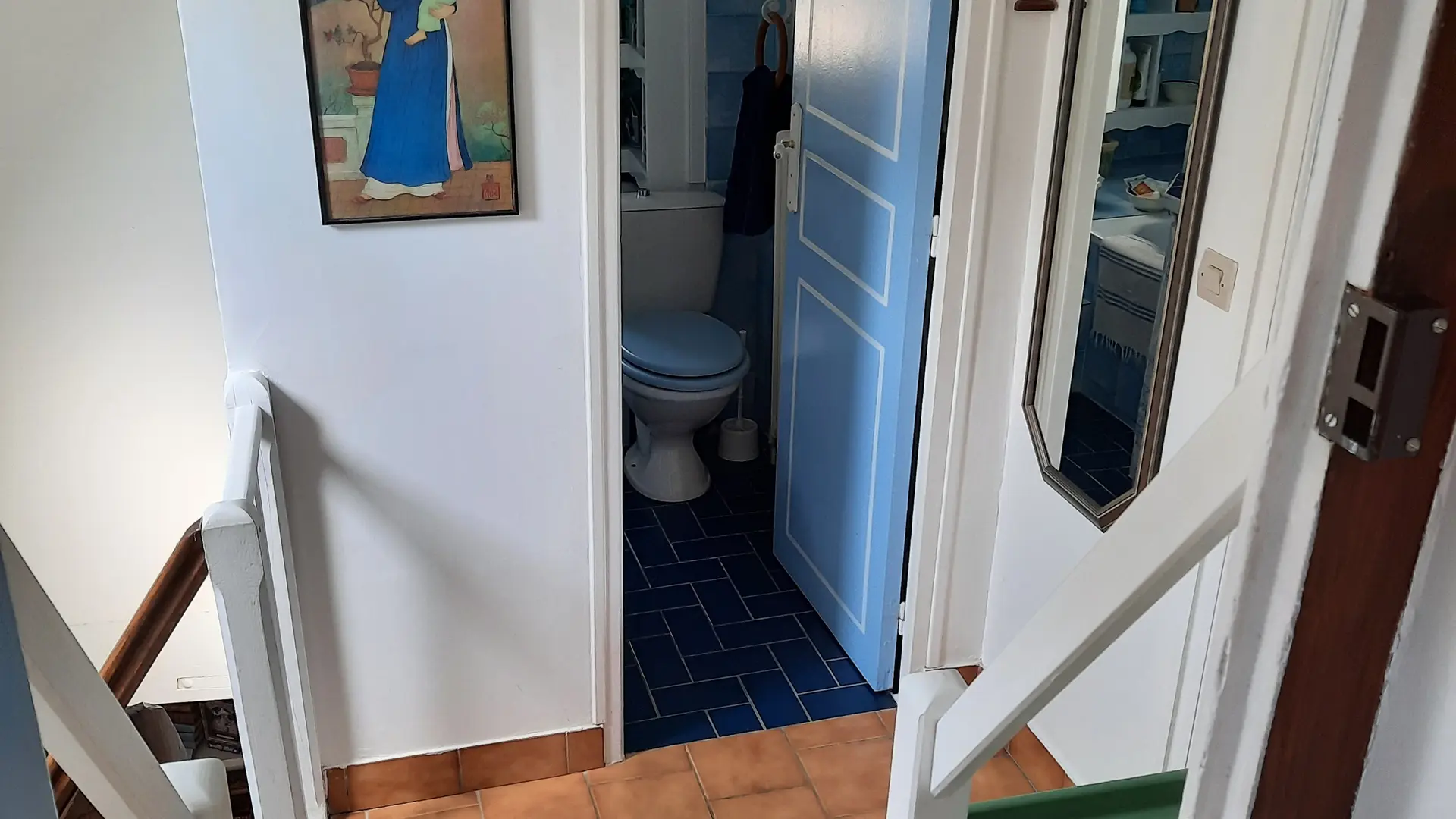 Chat-hirsute-2025-salle-de-bain-3