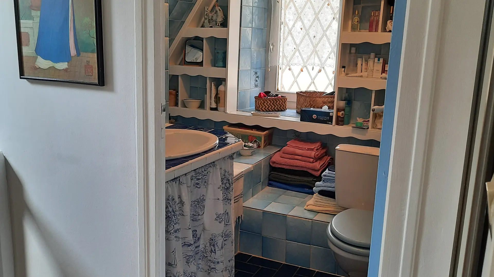 Chat-hirsute-2025-salle-de-bain-4