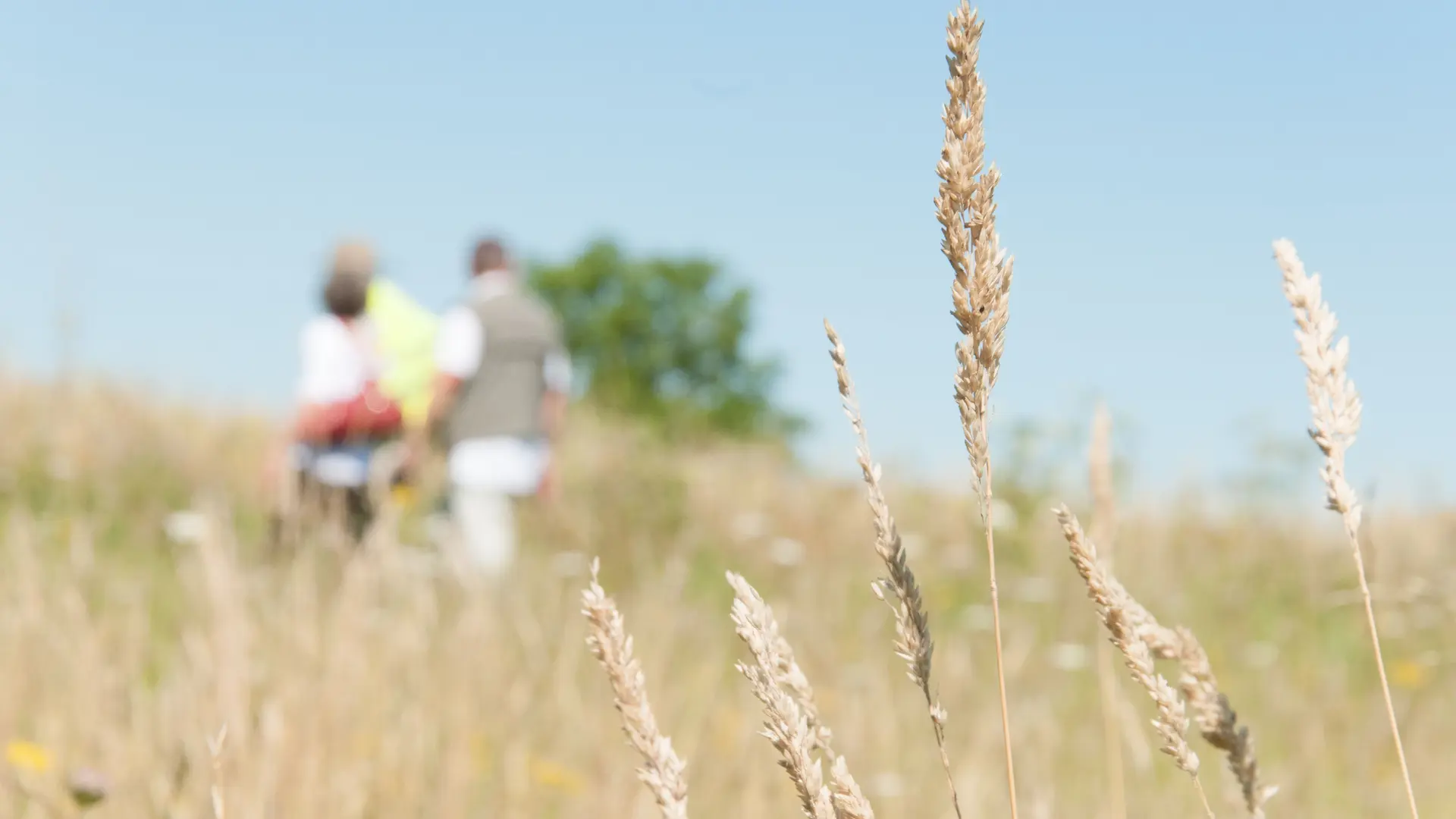 Randonnée pédestre-La Chapelle gaugain