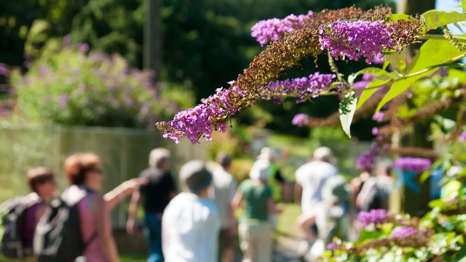 Randonnée pédestre - Lavenay