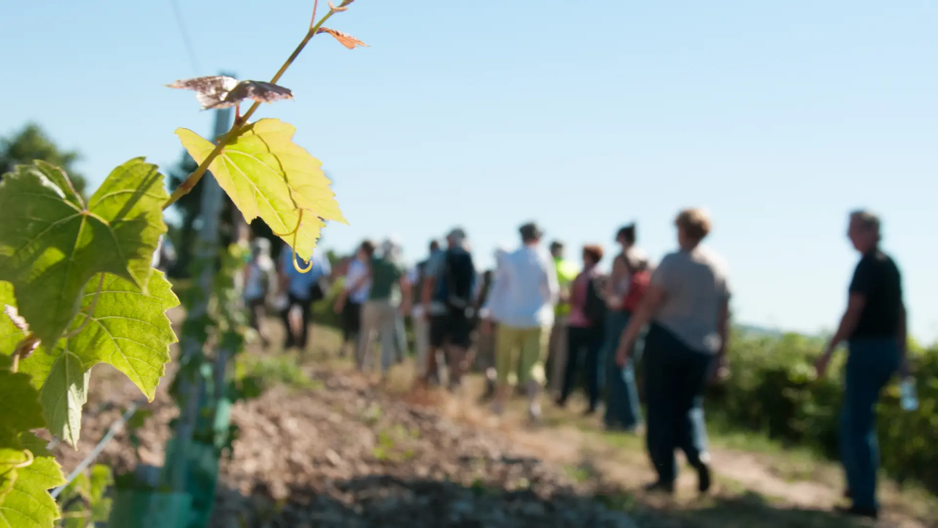 Randonnée pédestre-Loir en Vallée