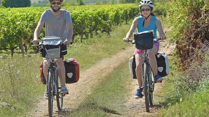 Le Vignoble de Jasnières