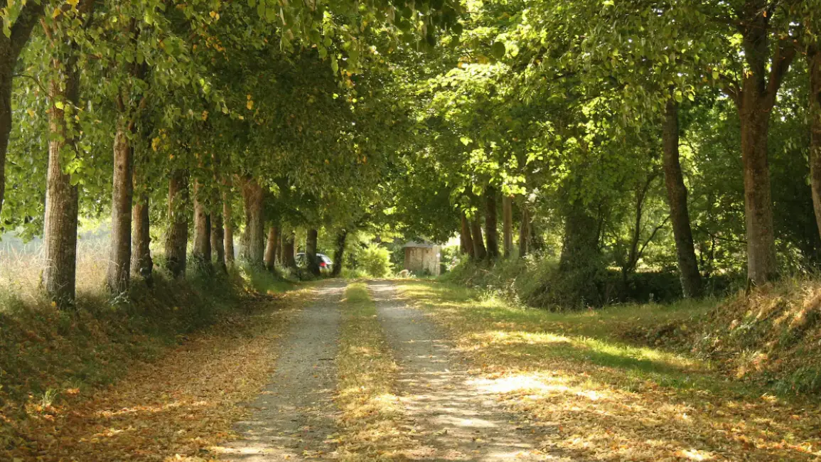 Chambre d'hote de charme