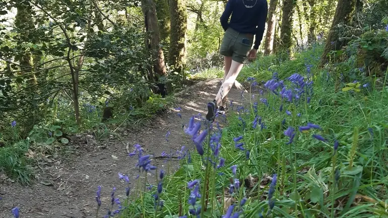 Chant des trois ruisseaux (13)