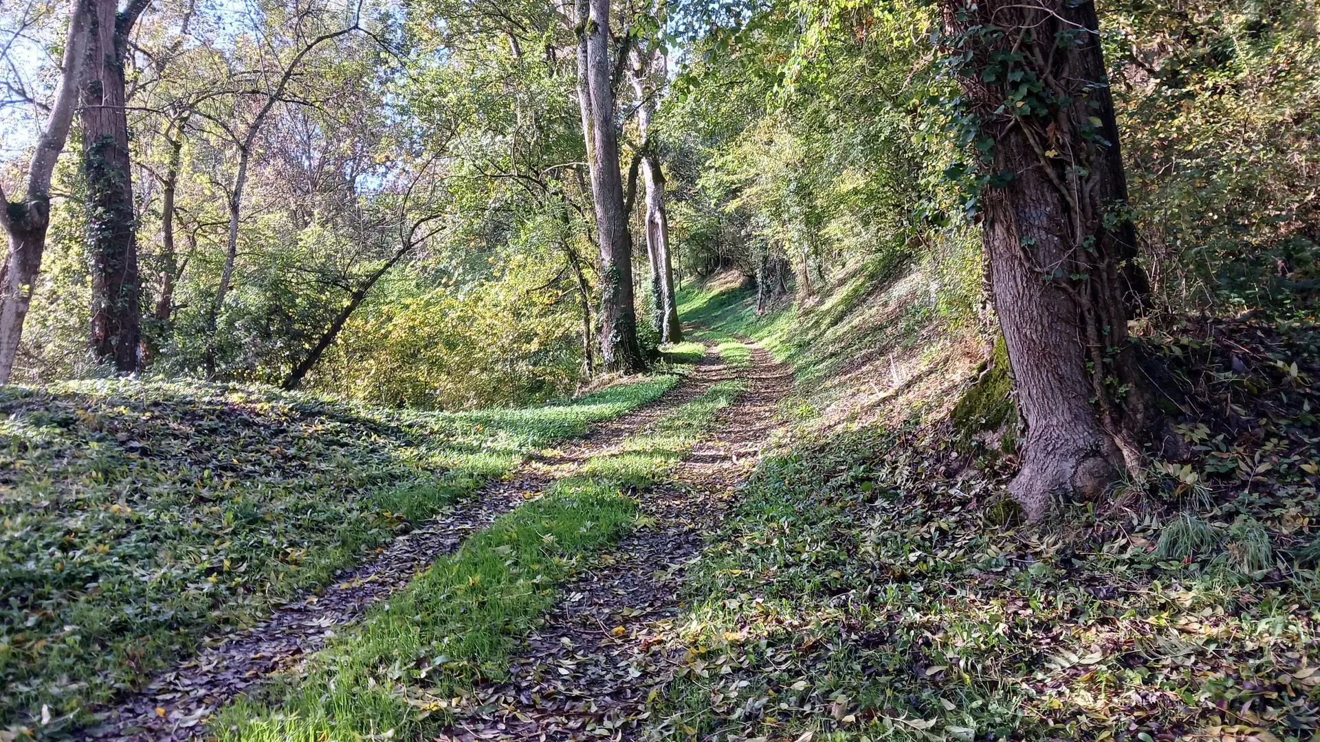 Chemin Les Chapelles