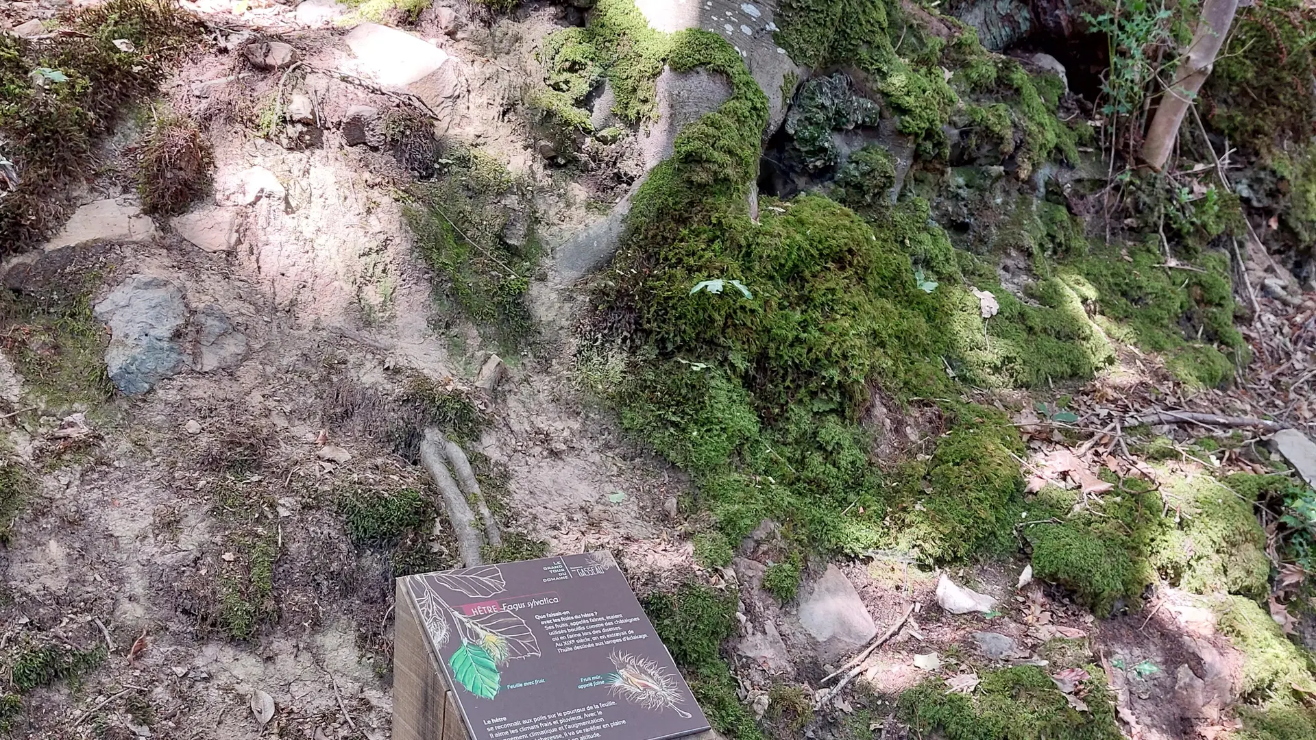 Circuit Grand tour du Domaine du Gasseau