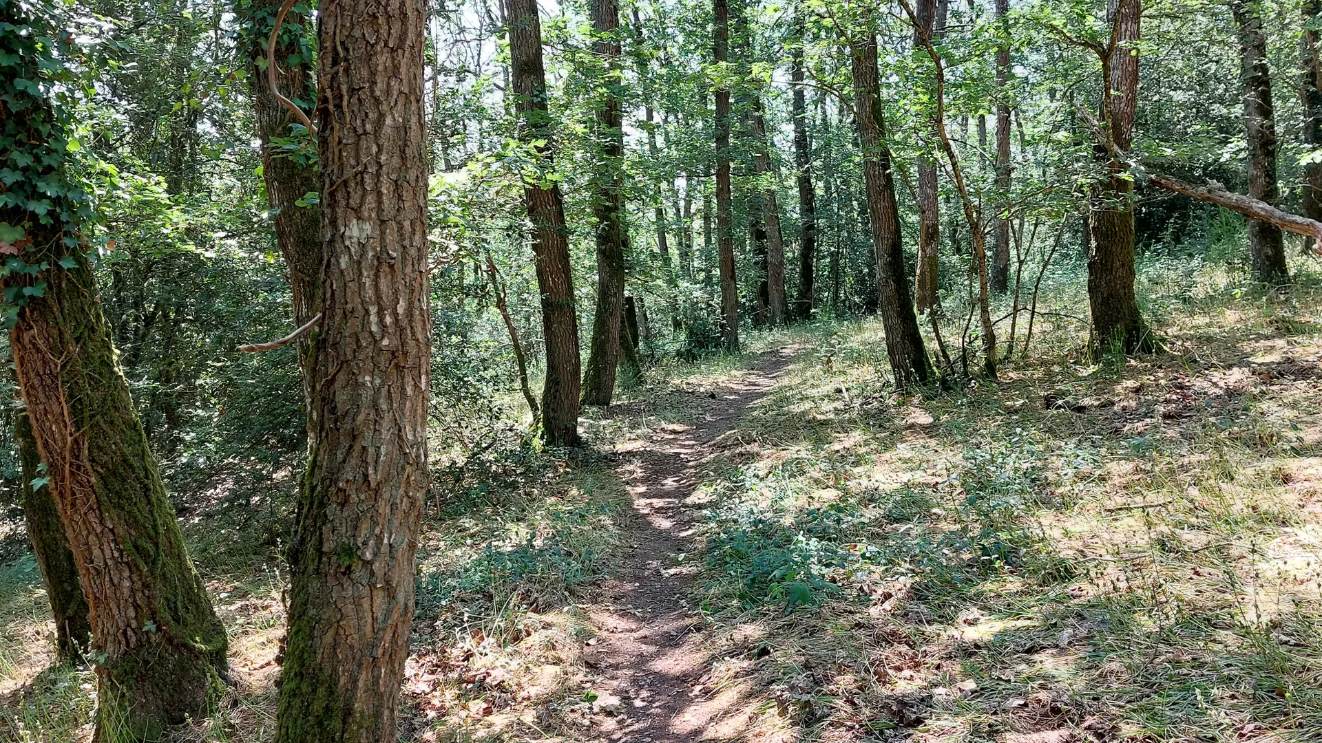 Circuit Grand tour du Domaine du Gasseau